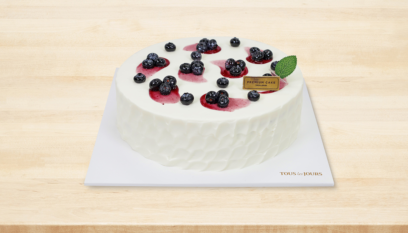 Blueberry Yogurt 3